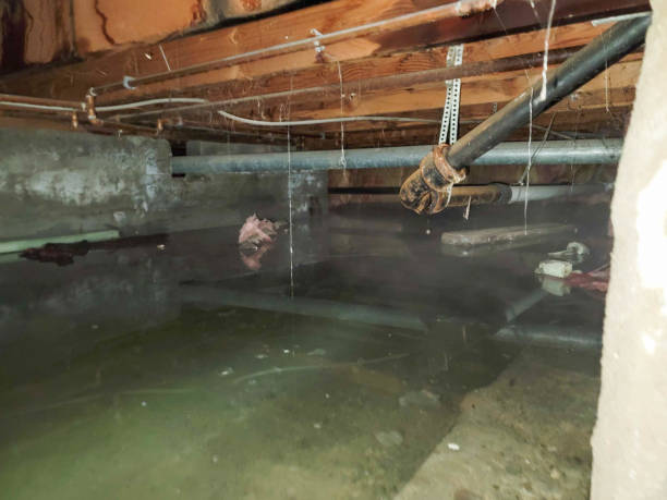 Best Flood restoration services  in Hartwell, GA