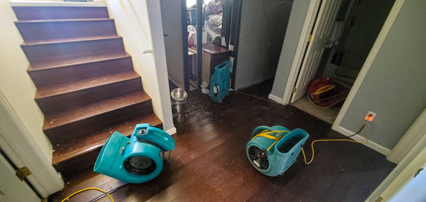 Best Fire Damage Restoration  in Hartwell, GA