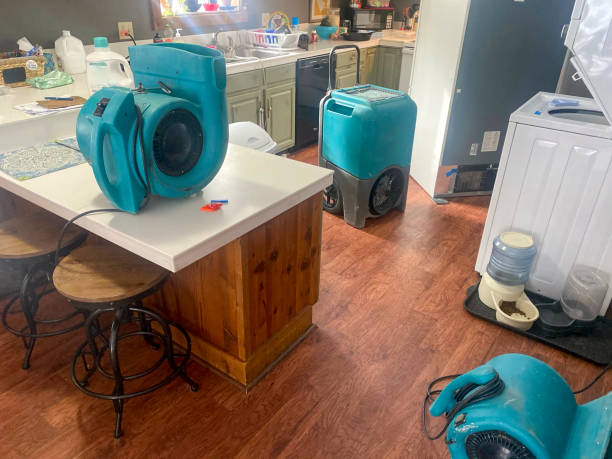 Best Residential water damage restoration  in Hartwell, GA