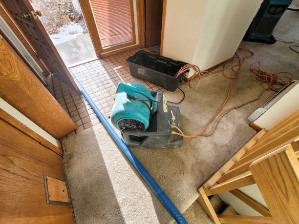 Best Mold removal after water damage  in Hartwell, GA