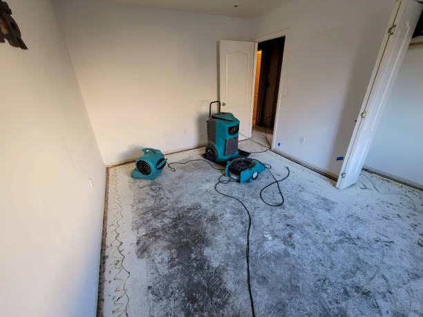 Best Water damage repair service  in Hartwell, GA