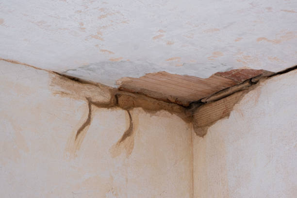 Best Water damage restoration specialists  in Hartwell, GA