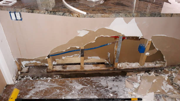 Best Professional water damage repair  in Hartwell, GA