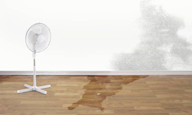 Best Flooded house restoration  in Hartwell, GA