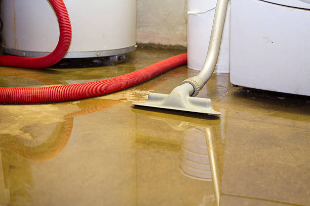 Best Water damage contractors near me  in Hartwell, GA