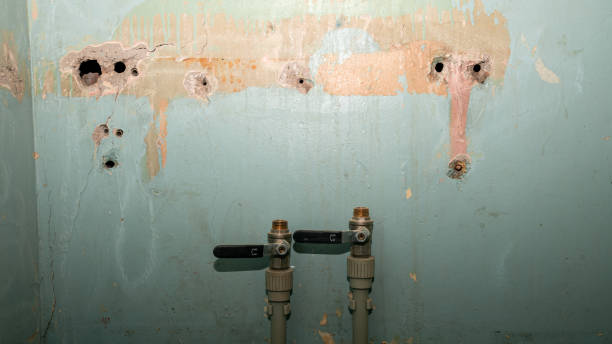 Best Water damage contractors near me  in Hartwell, GA