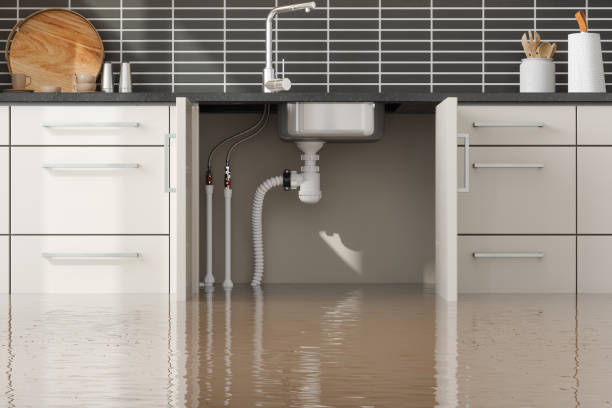 Best Water damage cleanup near me  in Hartwell, GA